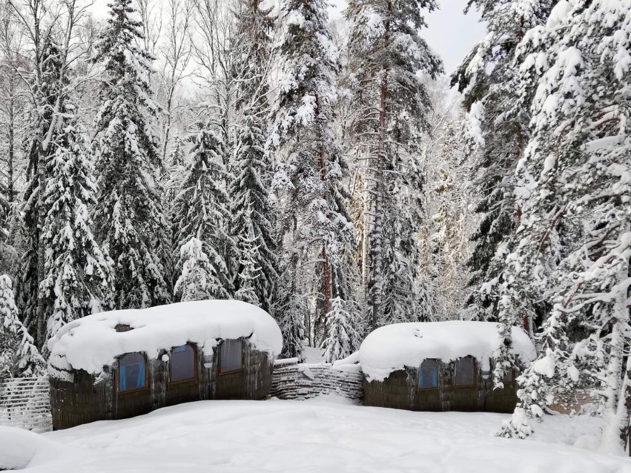 Igluhut - Sleep With Reindeer Villa Espoo Ngoại thất bức ảnh